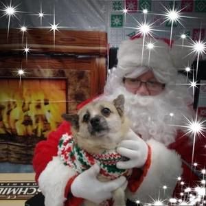 Meet your Posher, Aimee